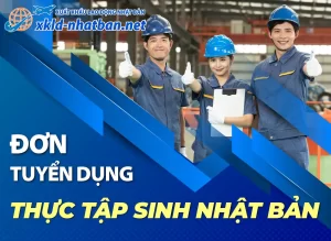 Banner chuyên mục thực tập sinh nhật bản